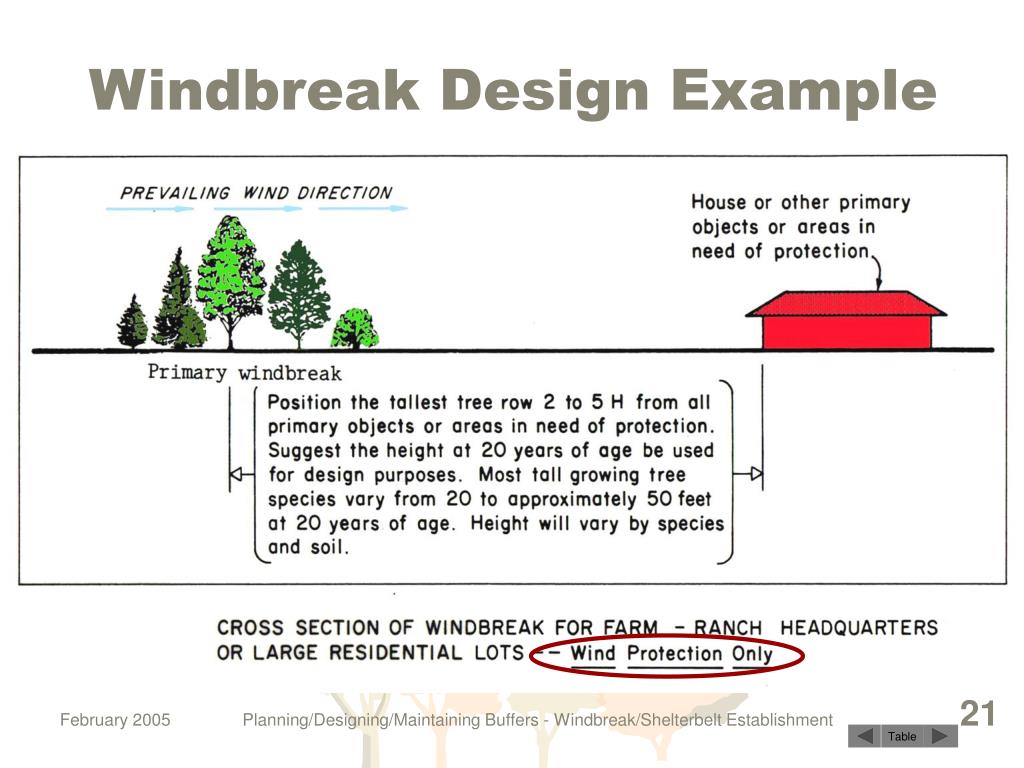 PPT “Windbreak/Shelterbelt Establishment” NEDC Conservation Buffers