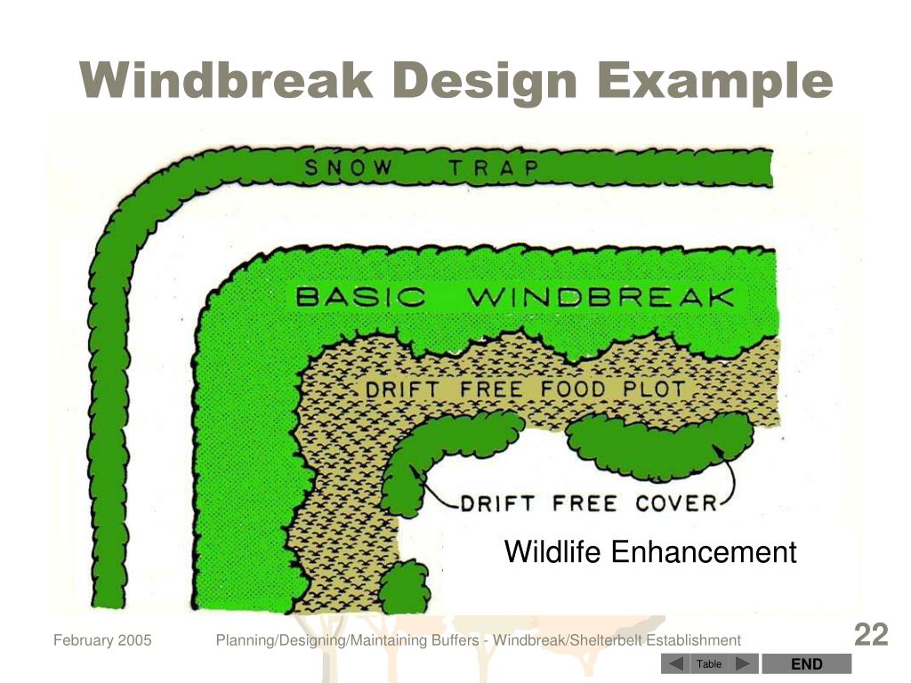 PPT “Windbreak/Shelterbelt Establishment” NEDC Conservation Buffers