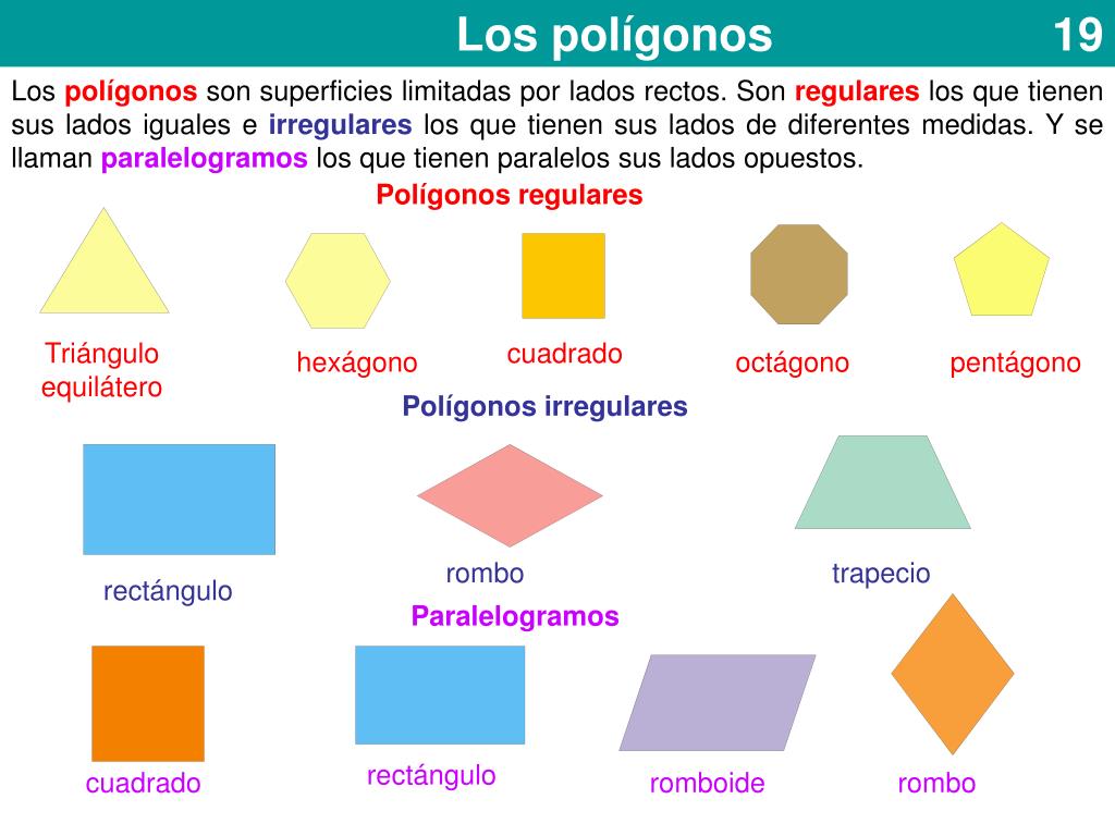 PPT Los polígonos 19 PowerPoint Presentation, free