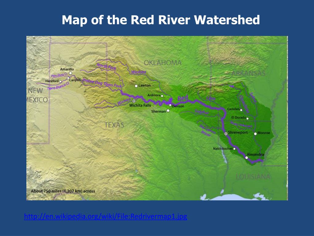 PPT No. 95 PowerPoint Presentation, free download ID4012723