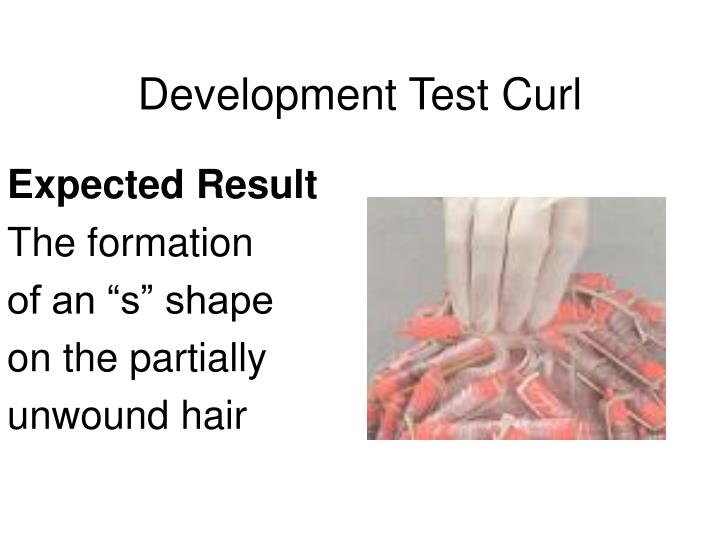 PPT Development Test Curl PowerPoint Presentation ID4013230