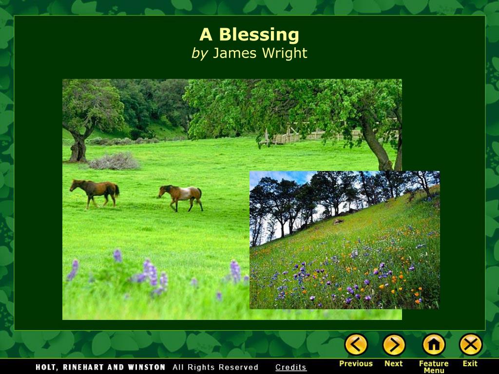 A Blessing Analysis Shmoop