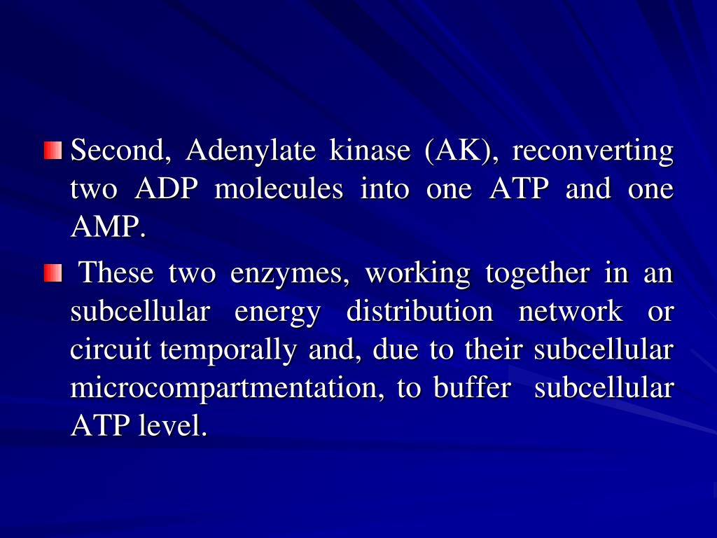 PPT High Energy Compounds PowerPoint Presentation, free download ID