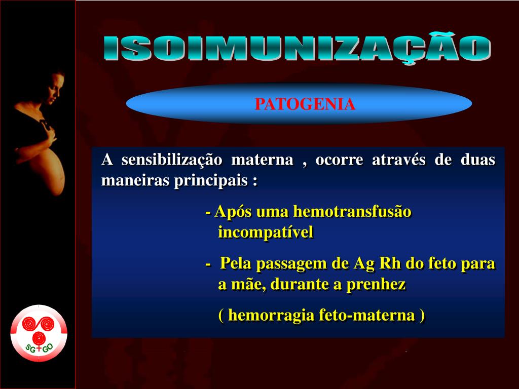 PPT GRAVIDEZ DE ALTO RISCO PowerPoint Presentation, free download