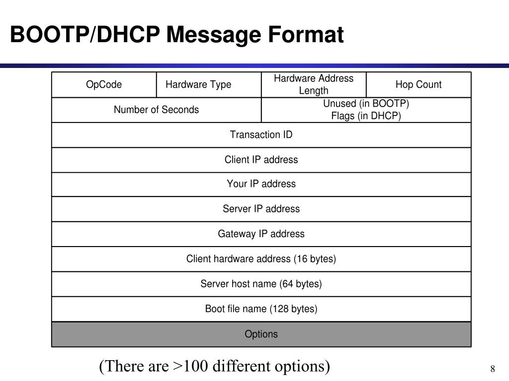 PPT - Dynamic Host Configuration Protocol (DHCP) PowerPoint