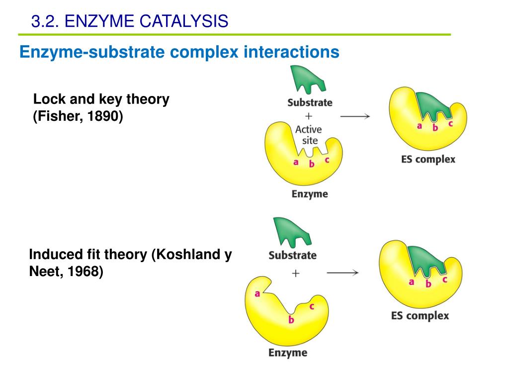 PPT Unit 3 PowerPoint Presentation, free download ID4026007
