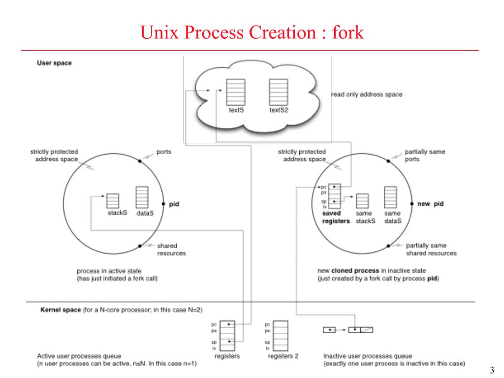 PPT Generic and Unix Processes fork, exec, wait PowerPoint