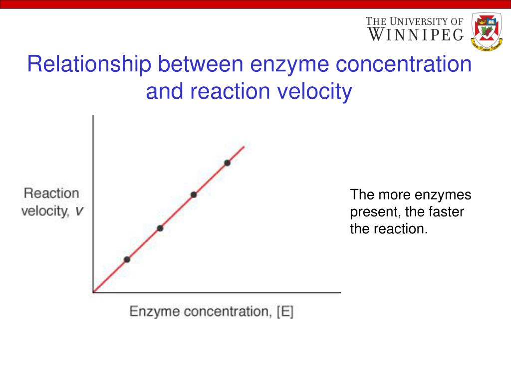 PPT to class of Enzyme and Inhibition PowerPoint