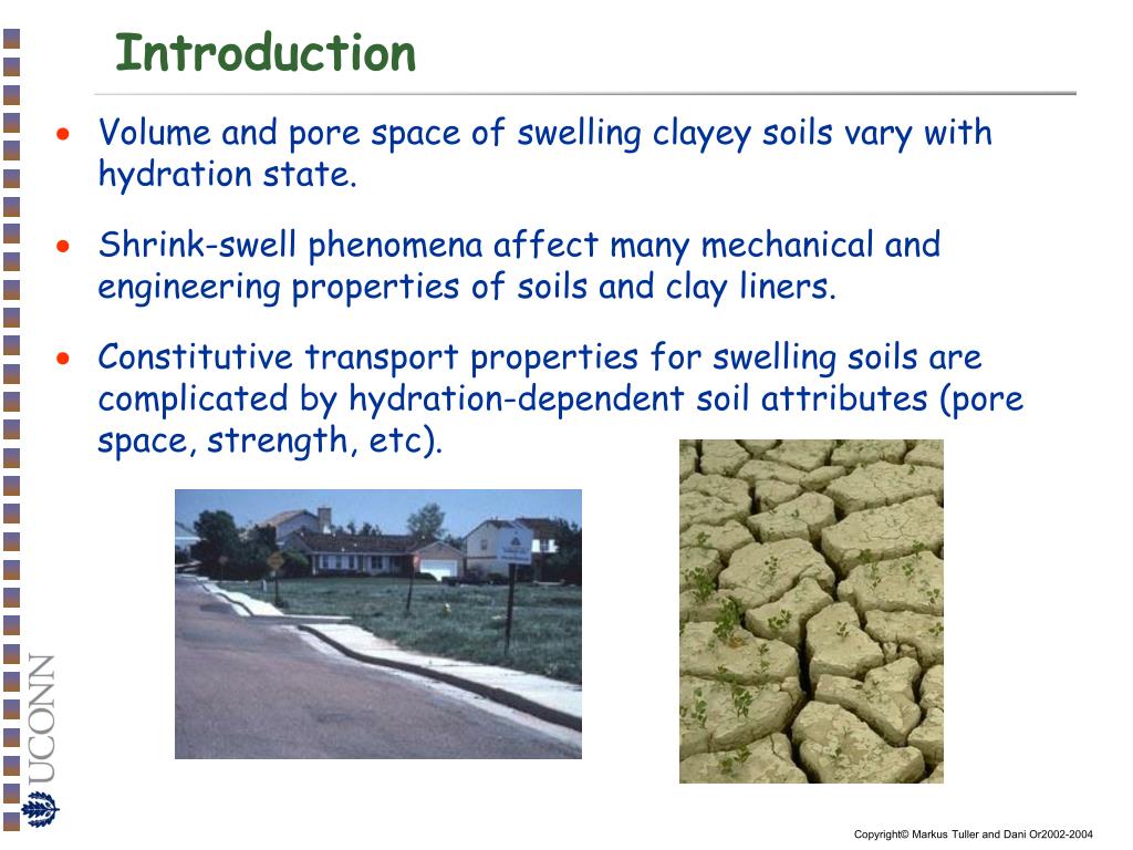 PPT Clays, Clay Minerals and Soil Shrink/Swell Behavior PowerPoint