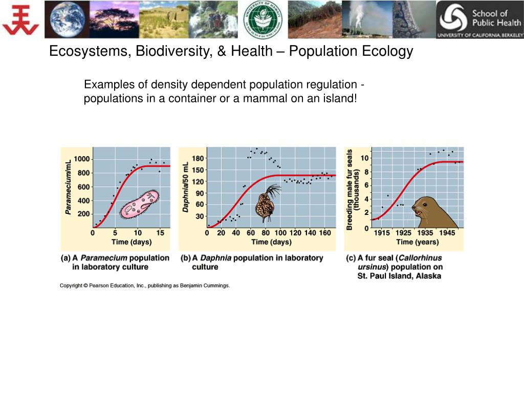 PPT Ecosystems, Biodiversity, & Health Population Ecology Dr. Bruce