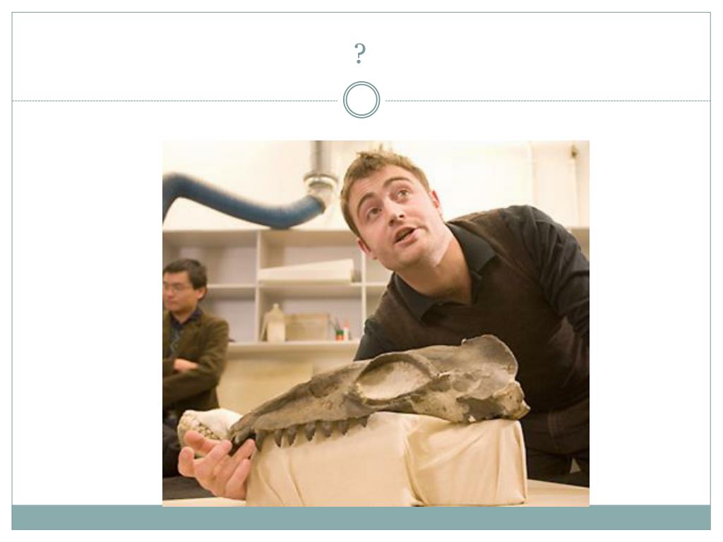 PPT Wat is een archeoloog? PowerPoint Presentation, free download