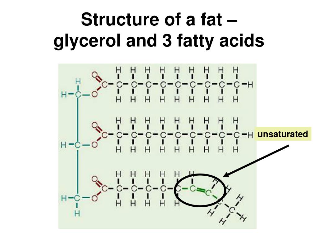 PPT AP Bio Exam Review PowerPoint Presentation, free download ID