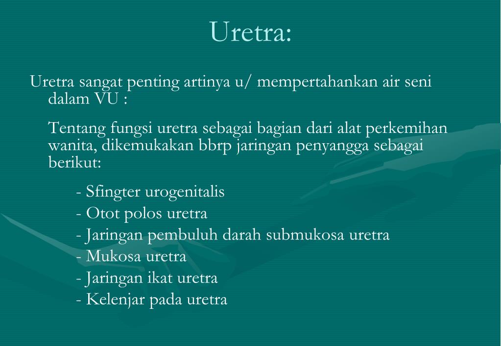 PPT ANATOMI FISIOLOGI ORGAN REPRODUKSI WANITA PowerPoint