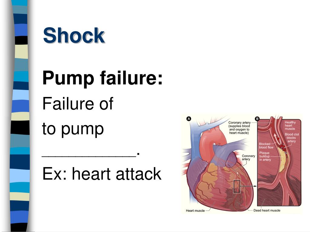 PPT First Aid PowerPoint Presentation, free download ID4047787