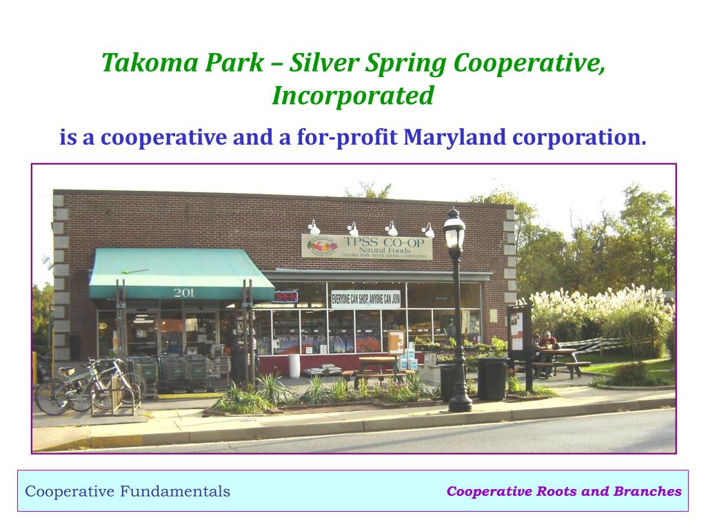 PPT Cooperative Roots and Branches PowerPoint Presentation, free