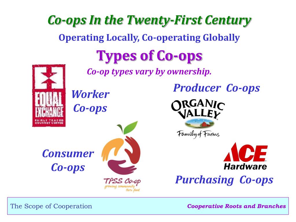 PPT Cooperative Roots and Branches PowerPoint Presentation, free