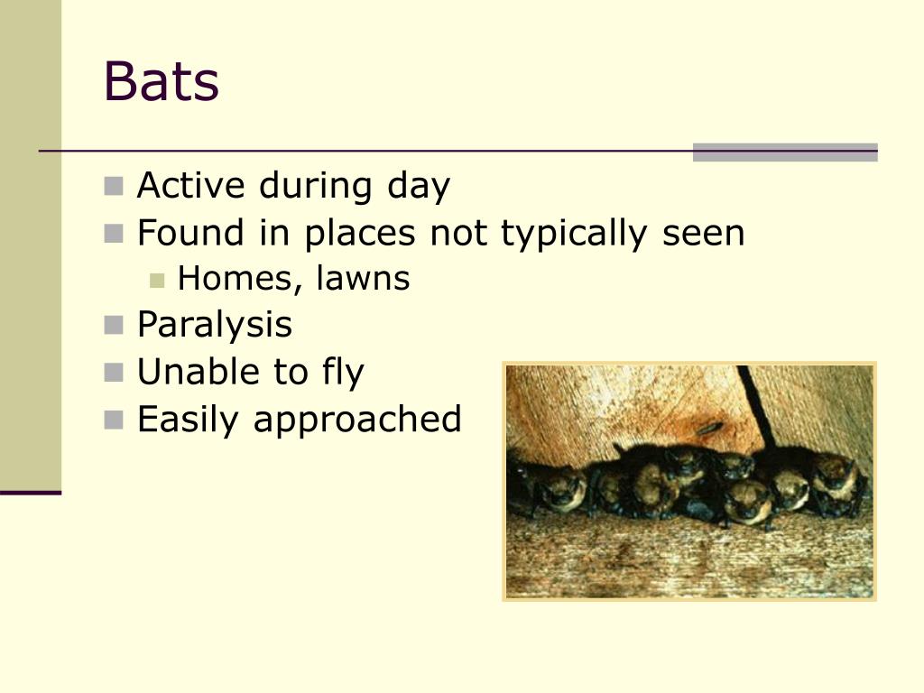 PPT Rabies PowerPoint Presentation, free download ID4053725