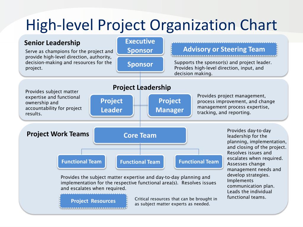 PPT Project Organization Chart Roles & Responsibilities Matrix PowerPoint Presentation ID