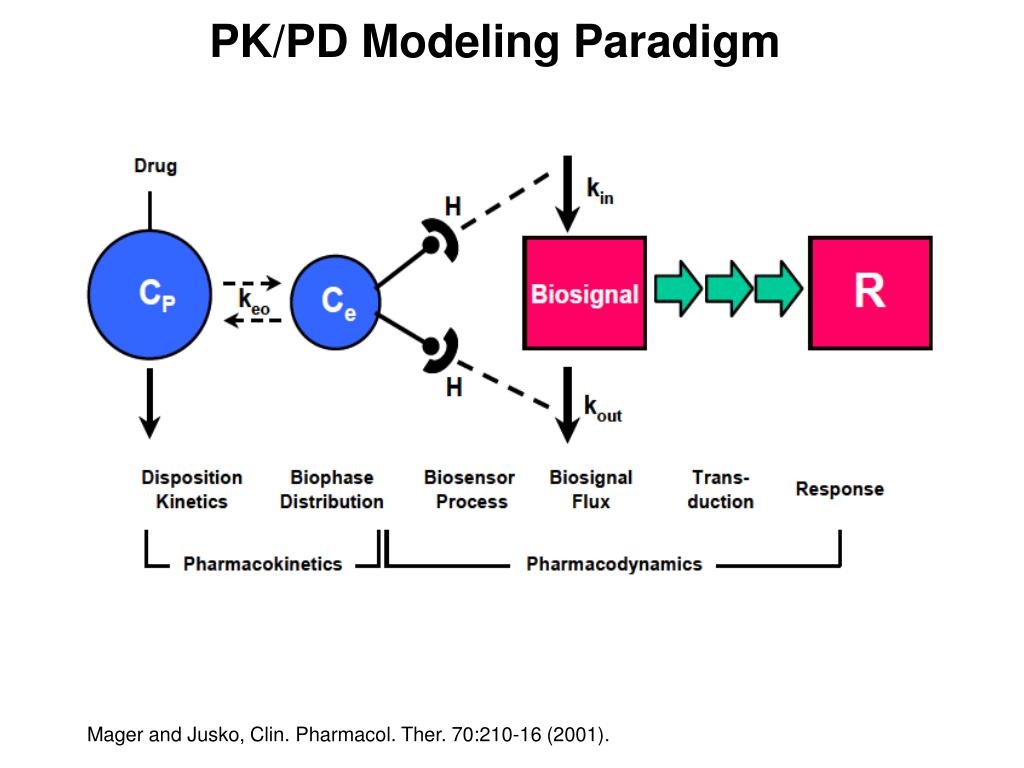 PPT PK/PD Modeling of Therapeutic Effects of Erythropoietin