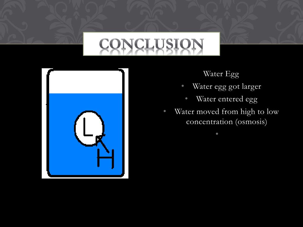 PPT Egg Osmosis Experiment PowerPoint Presentation, free download