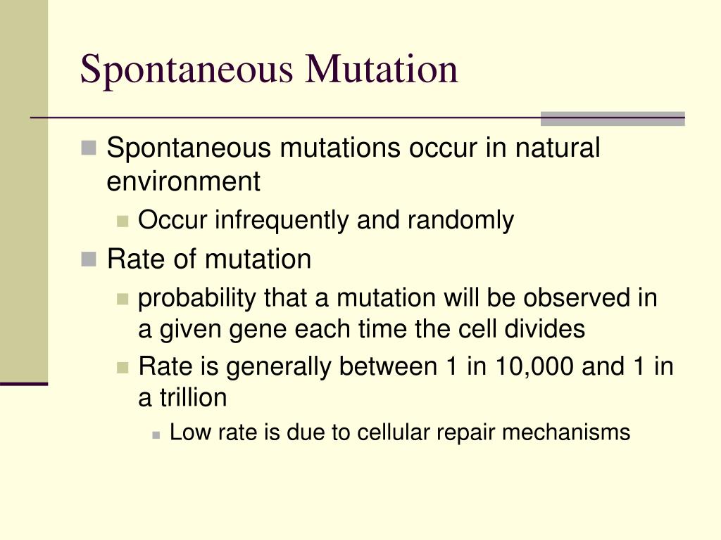 PPT Bacterial PowerPoint Presentation, free download ID4082838