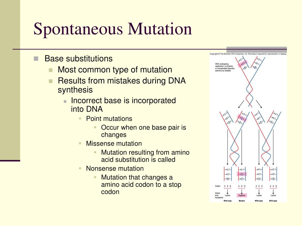 PPT Bacterial PowerPoint Presentation, free download ID4082838