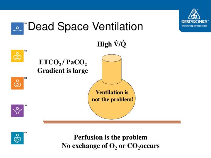 PPT Capnography PowerPoint Presentation ID4082923