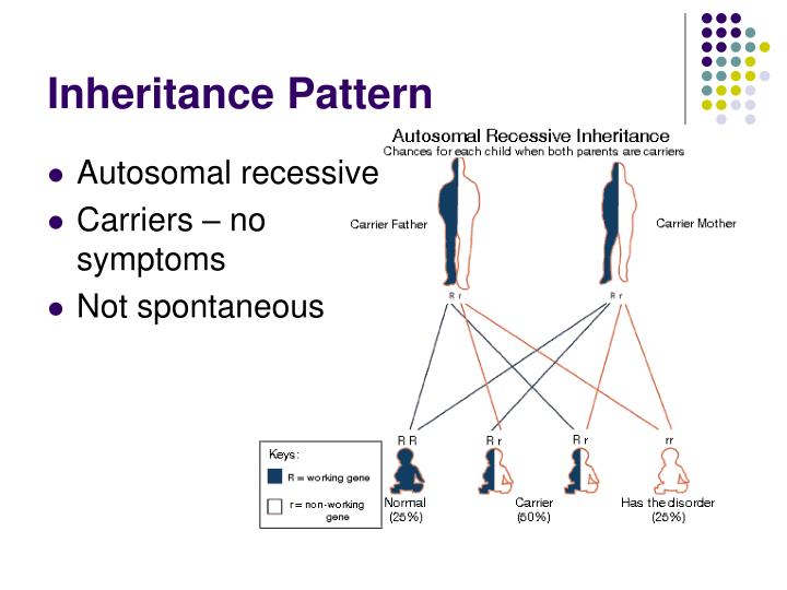 PPT Glutaric Acidemia (Type 2) PowerPoint Presentation ID4083571