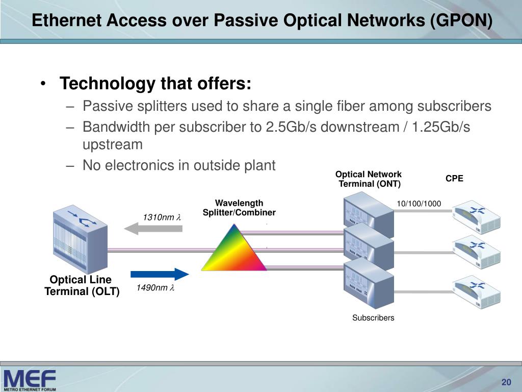 PPT Carrier Access Extending into the First Mile