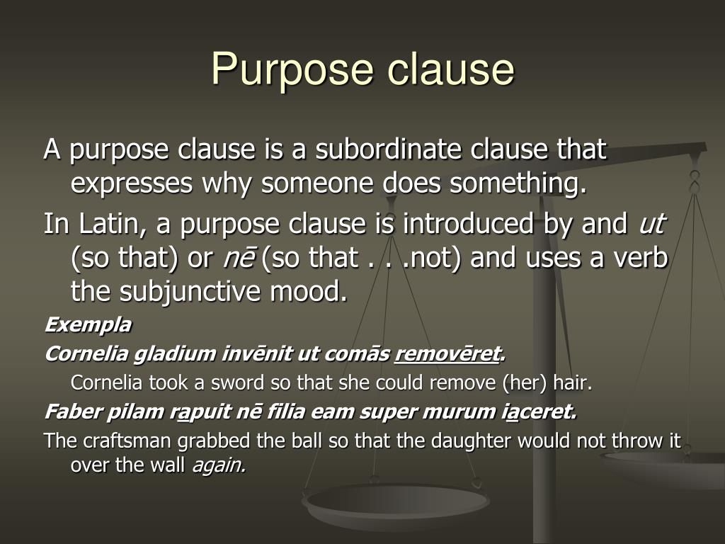 PPT Opus Novum Review Grammar PowerPoint Presentation, free download