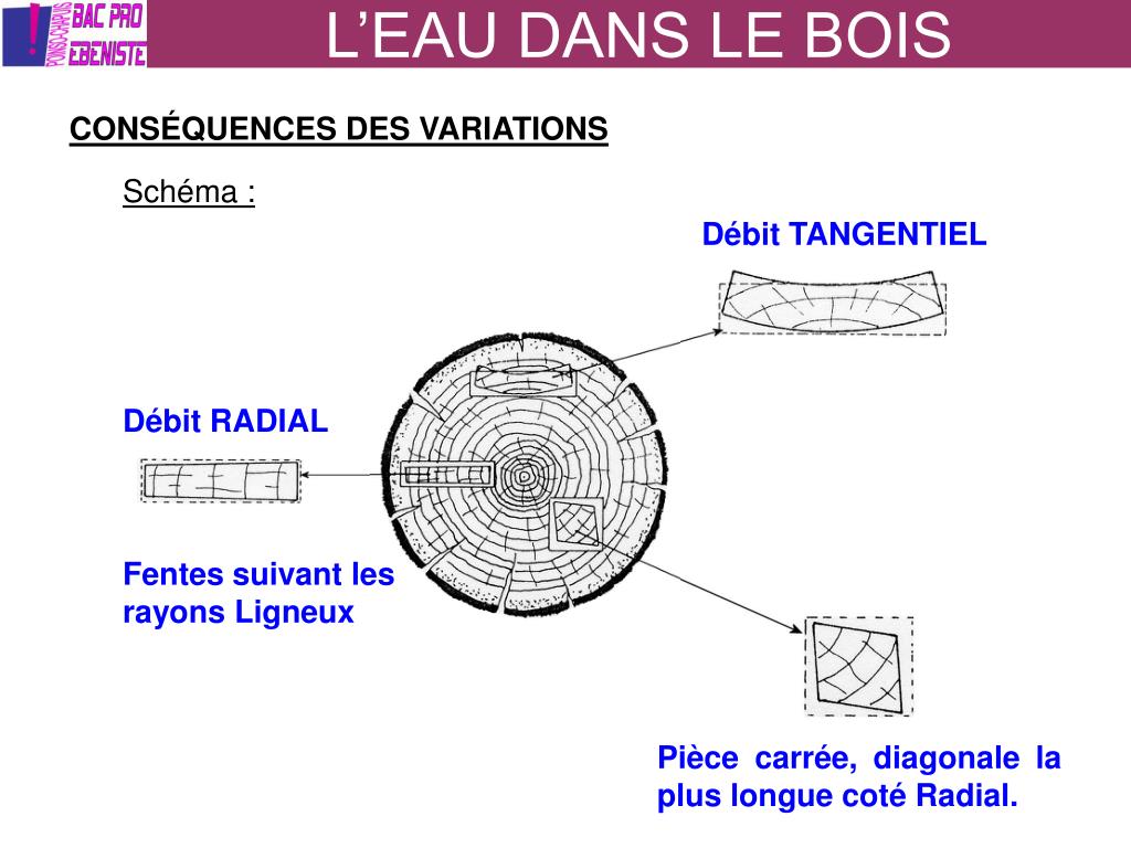 PPT L’EAU DANS LE BOIS PowerPoint Presentation, free download ID4087101