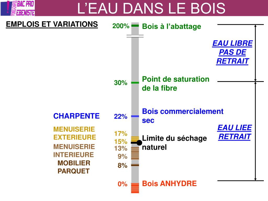 PPT L’EAU DANS LE BOIS PowerPoint Presentation, free download ID4087101