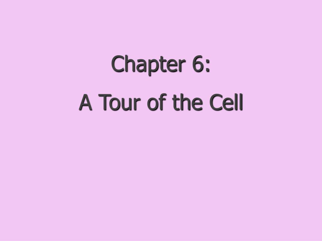 PPT - Chapter 6: A Tour of the Cell PowerPoint Presentation, free