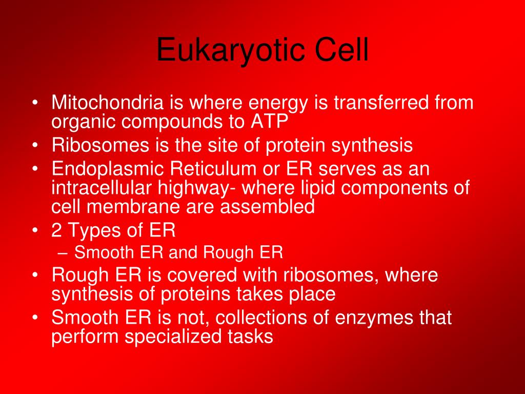 PPT Cell Structure and Function PowerPoint Presentation, free