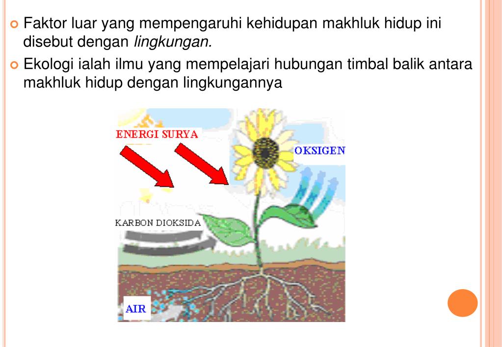 PPT organisme dan lingkungan PowerPoint Presentation, free download