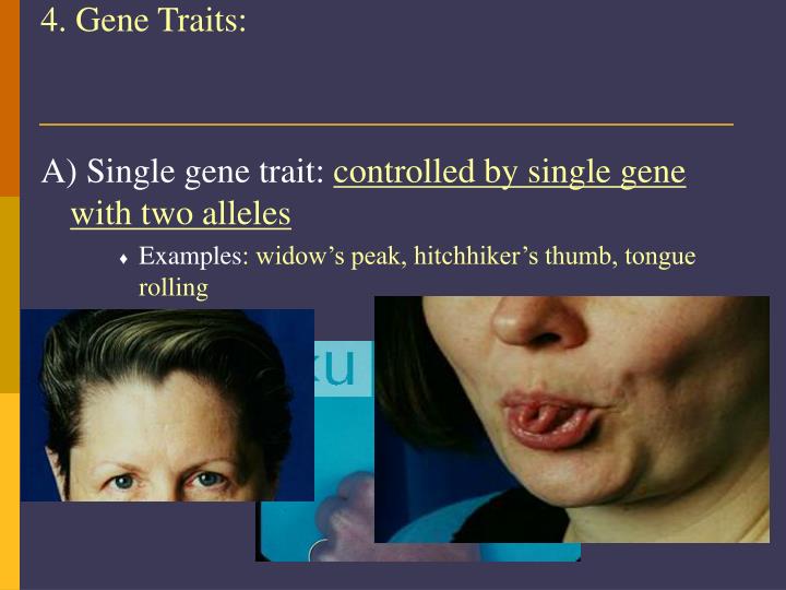 PPT Chapter 17 Evolution of Populations PowerPoint Presentation ID