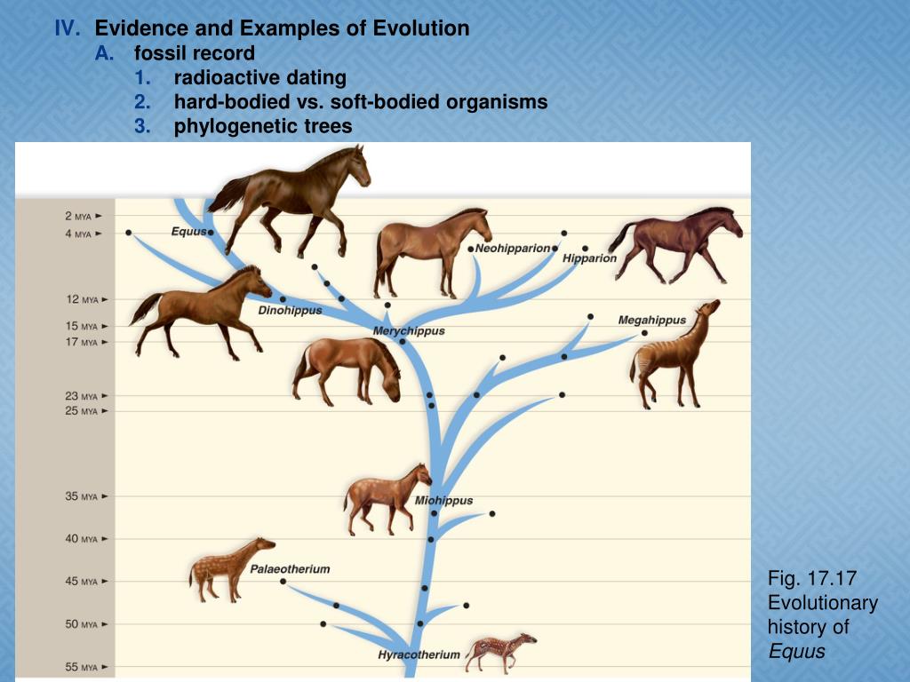 PPT Evolution Natural Selection & Adaptation PowerPoint Presentation