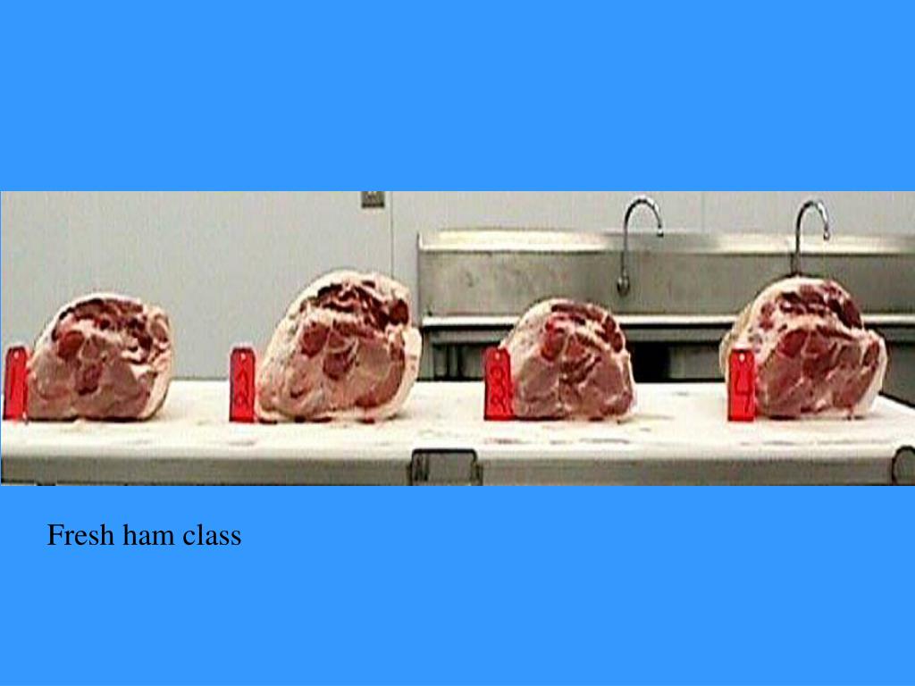 PPT Meats CDE Practice 2000 PowerPoint Presentation, free download