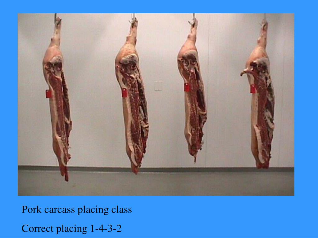 PPT Meats CDE Practice 2000 PowerPoint Presentation, free download