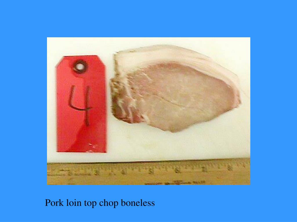 PPT Meats CDE Practice 2000 PowerPoint Presentation, free download