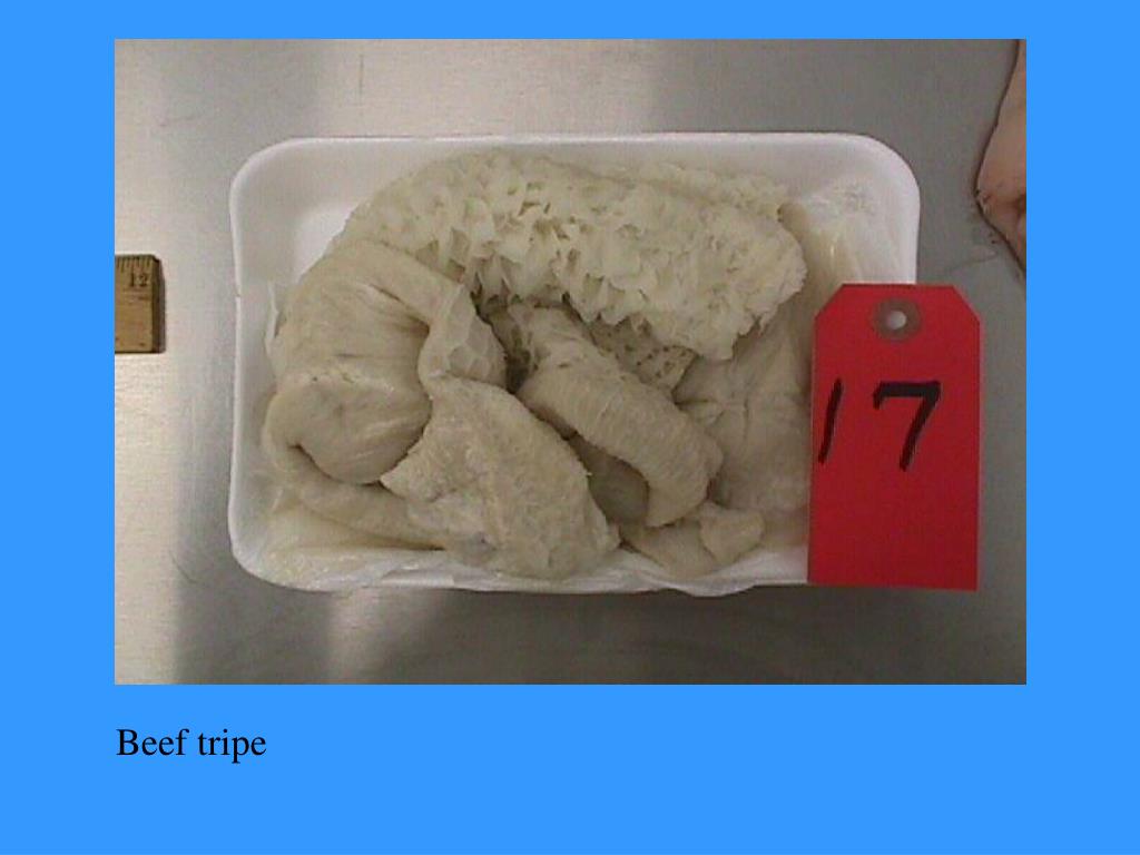 PPT Meats CDE Practice 2000 PowerPoint Presentation, free download