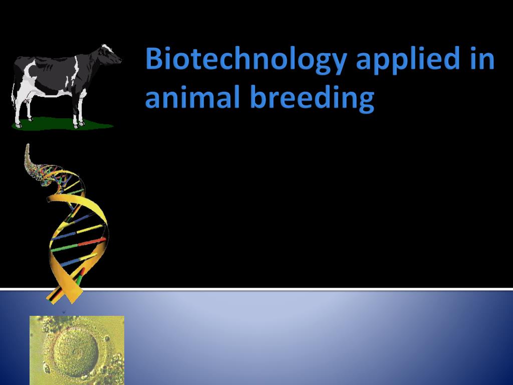 PPT Biotechnology applied in animal breeding PowerPoint Presentation