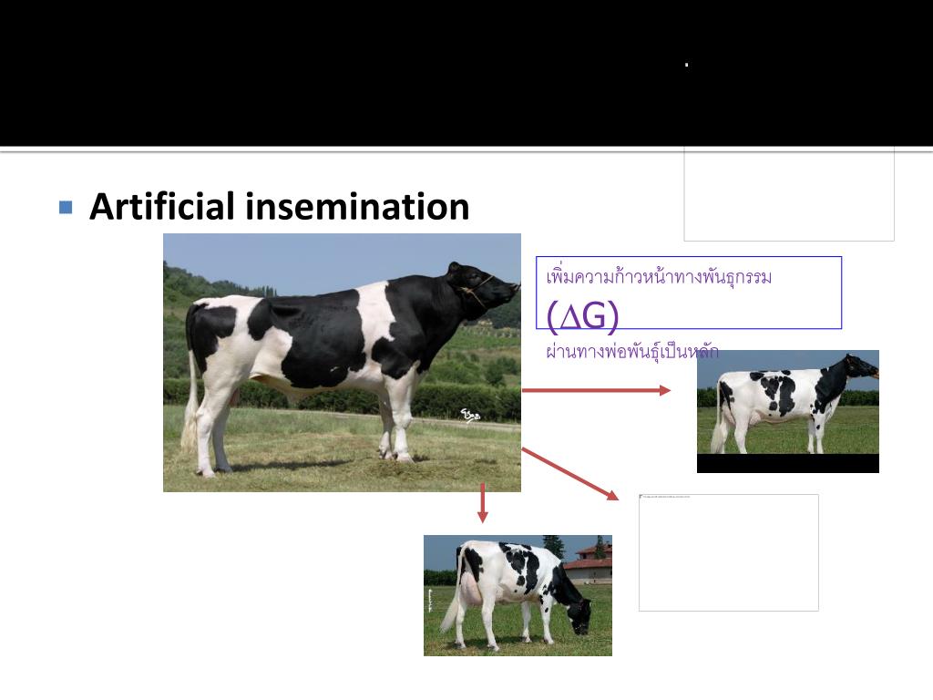 PPT Biotechnology applied in animal breeding PowerPoint Presentation
