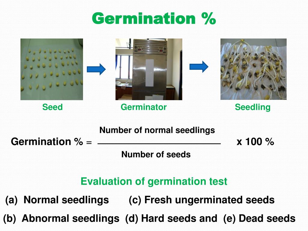 PPT Physiological Maturity and Effect of Seed Priming on Germination