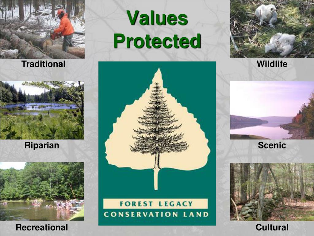 PPT USDA Forest Service Forest Legacy Program PowerPoint Presentation