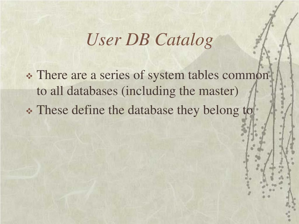 PPT System Catalog for SQL Server PowerPoint Presentation, free