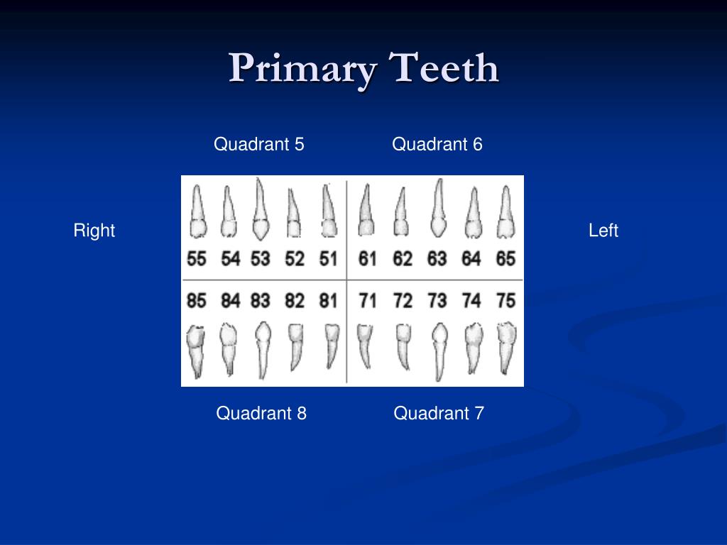 PPT Pediatric Dentistry Seminar PowerPoint Presentation, free
