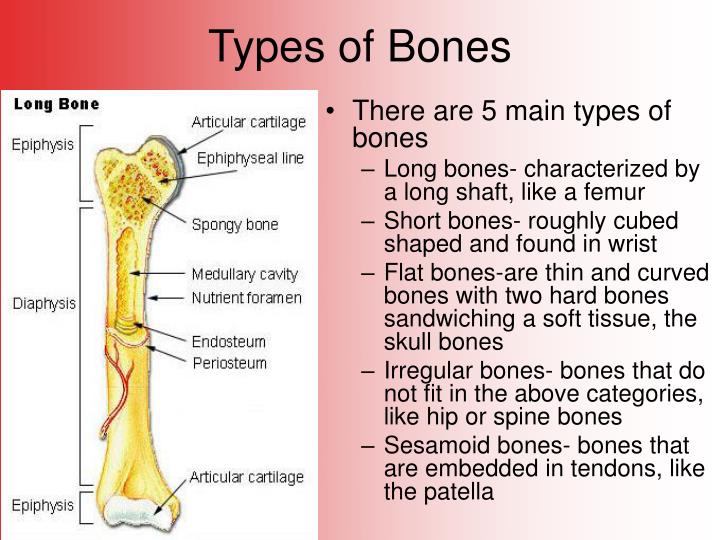 PPT Broken Bones PowerPoint Presentation ID4121003 PPT Broken Bones PowerPoint Presentation ID4121003