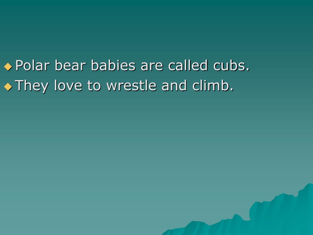 PPT Animal Babies PowerPoint Presentation, free download ID4121285