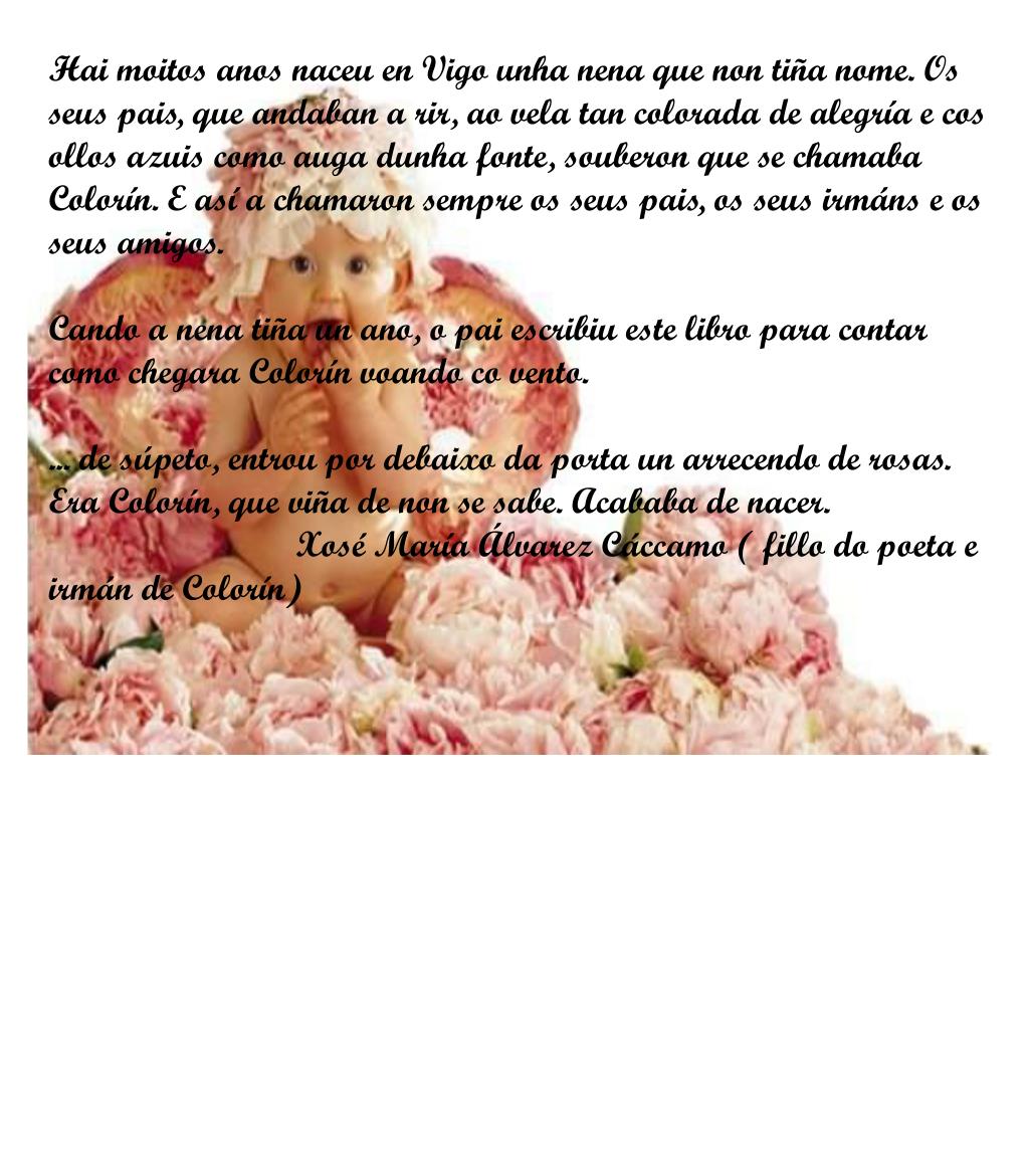 PPT Letras galegas 2008 PowerPoint Presentation, free download ID